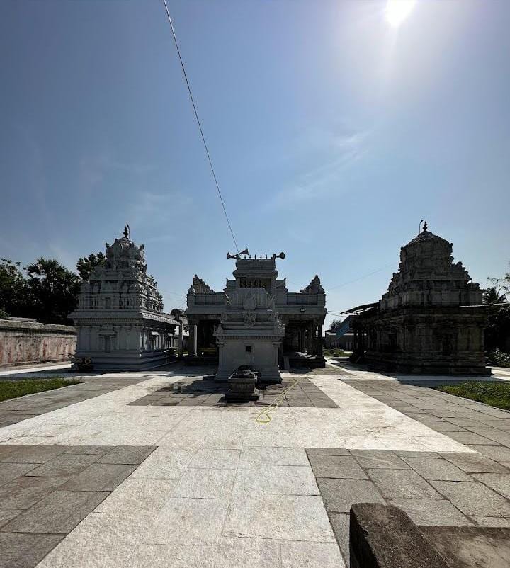 Sri Varadaraja Perumal (Kamala Varadaraja) Temple, Arasar Koyil — photo 1