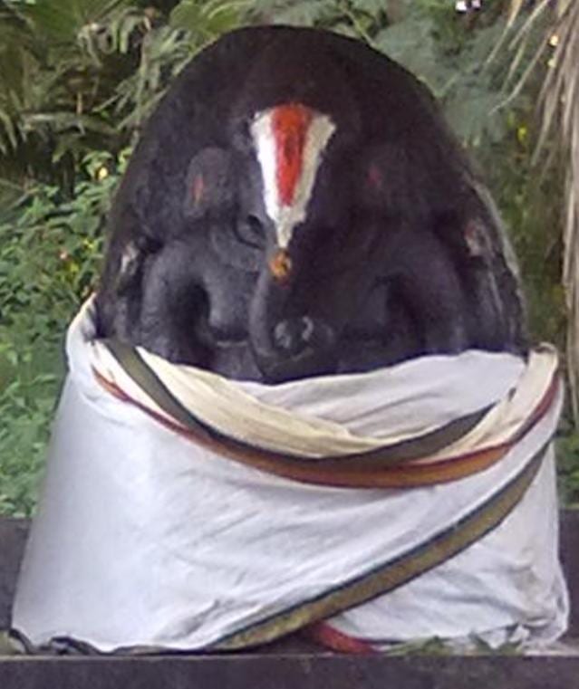 Sri Adimoola Perumal (Gajendravarada Perumal) Temple, Athalanallur — photo 4