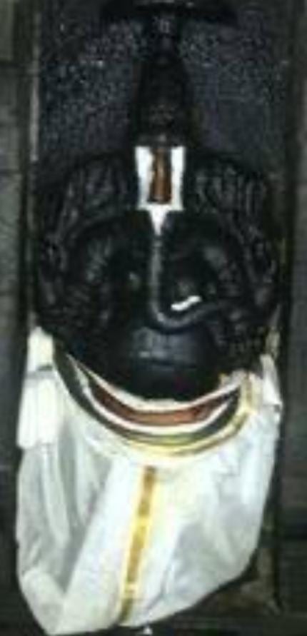 Sri Veeraraghava Perumal Temple, Vandiyur — photo 2